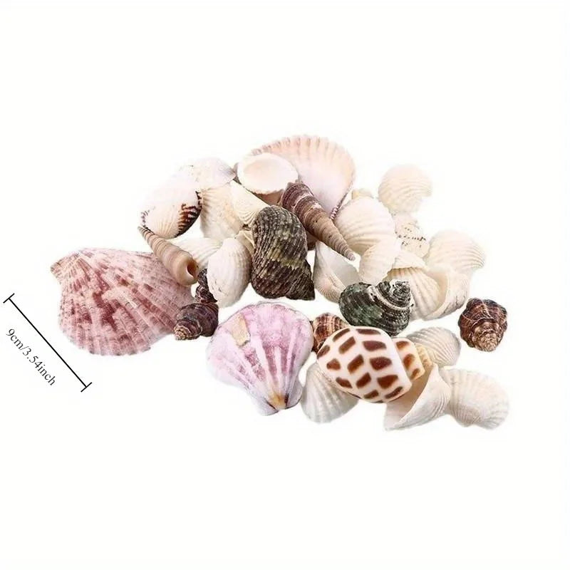 POCKET SHELLS