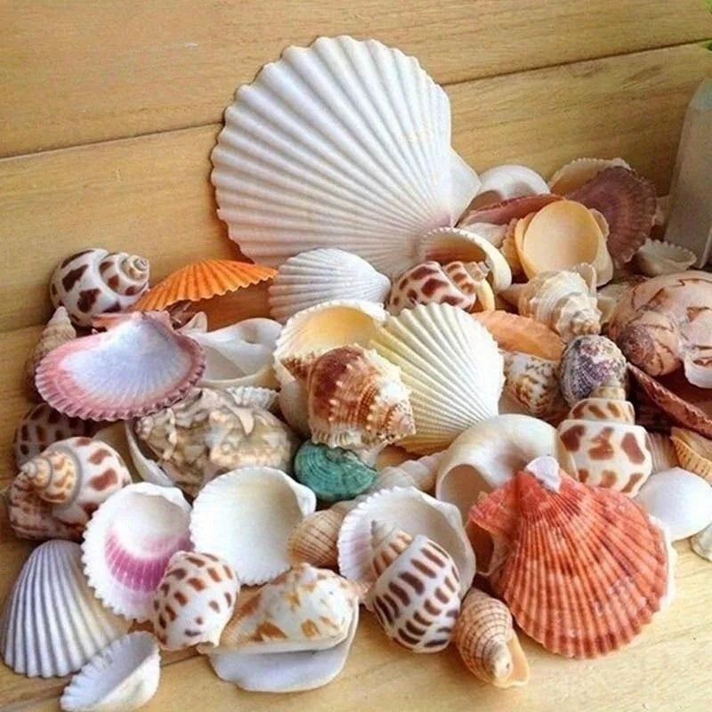 POCKET SHELLS